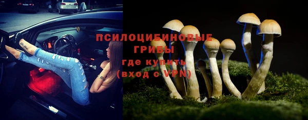 соль ск Заволжье