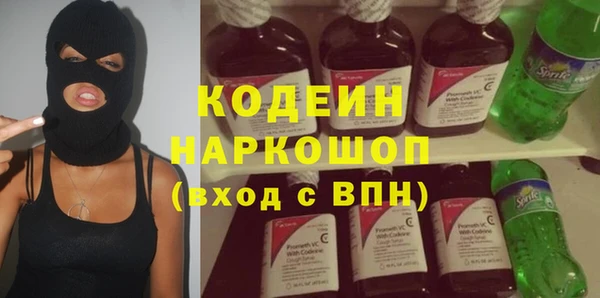 гидра Заводоуковск
