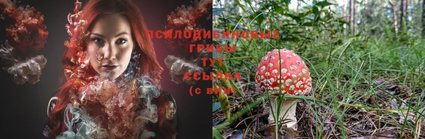 твердый Елизово