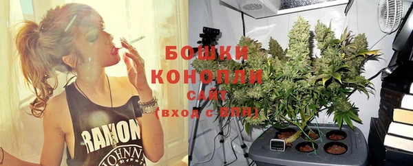 гидра Заводоуковск