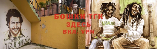 гидра Заводоуковск