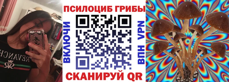 Купить где  Грязовец  Галлюциногенные грибы прущие грибы 