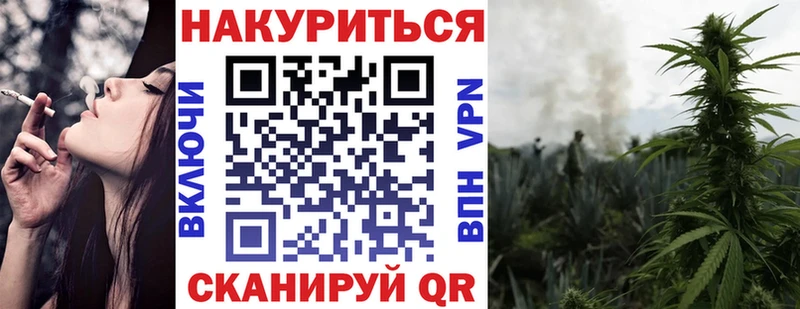 Купить  Грязовец  МАРИХУАНА семена 